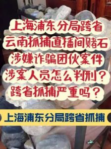 王大陆因逃兵役被捕，娱乐圈再掀热议